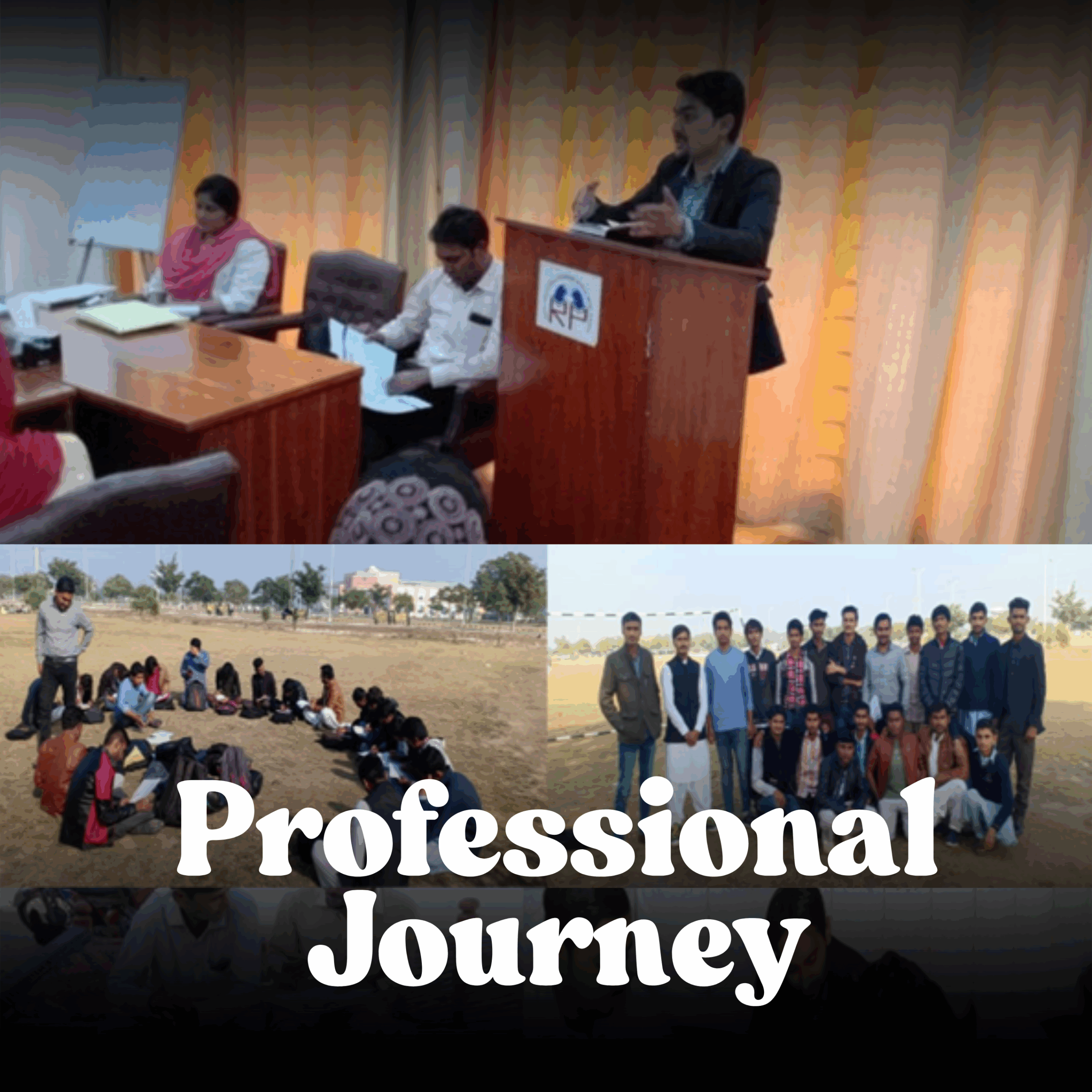 Professional Journey