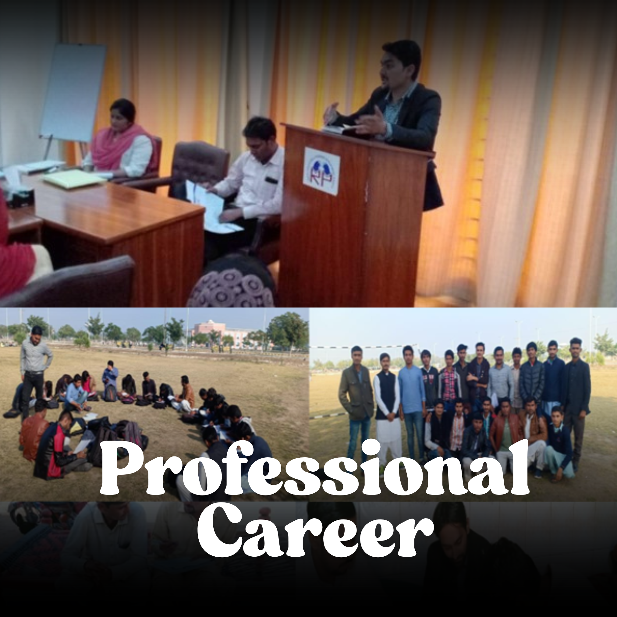 Professional Career
